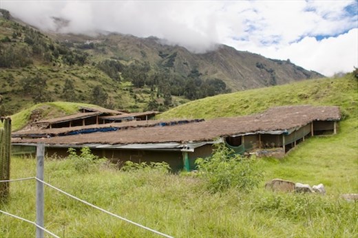 Chavín de Hauntar doesn't look like much at first glance