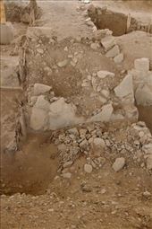 Work in Progress; 5000 year old wooden posts and rope: by vagabonds3, Views[266]