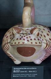 Ceramic Toad, El Brujo Museum: by vagabonds3, Views[64]