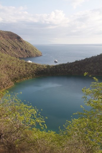 View of Tagus Cove, Fernandina Island
