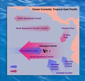 Galapagos are at the convergence of three ocean currents: by vagabonds3, Views[320]