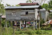 Pijibasal Embera village: by vagabonds3, Views[370]