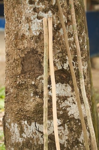 Hand-cut walking sticks, don't leave home without them