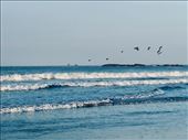 Jaco beach: by vagabonds3, Views[319]