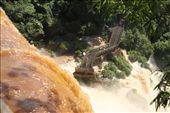 View from upper trail, Iguassu Falls: by vagabondstoo, Views[828]