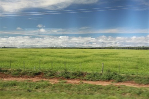 Pampas grassland = great steaks