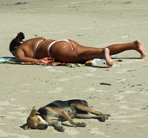 Dog Daze, Ilha do Mel