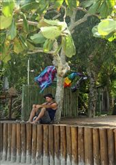 Lazy daze at Ihla do Mel: by vagabondstoo, Views[556]