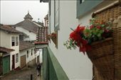 Connie heads down our street, Ouro Preto: by vagabondstoo, Views[396]