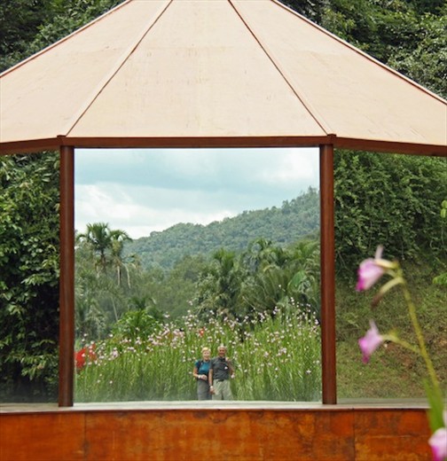 Reflection, Center for Contemporary Art, Inhotim