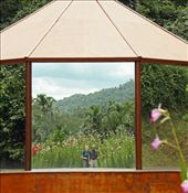 Reflection, Center for Contemporary Art, Inhotim: by vagabondstoo, Views[463]