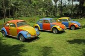 Volkswagens, Center for Contemporary Art, Inhotim: by vagabondstoo, Views[1865]