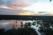 Sunset, Amazon Antonio Lodge, Rio Urubu: by vagabondstoo, Views[515]