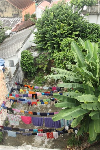 Backyards of Manaus