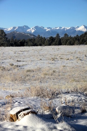 Spring snow, Westcliff, Colorado