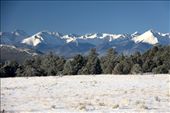 Spring snow, Westcliff, Colorado: by vagabondstoo, Views[958]