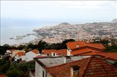 Madeira from on high: by vagabondstoo, Views[552]