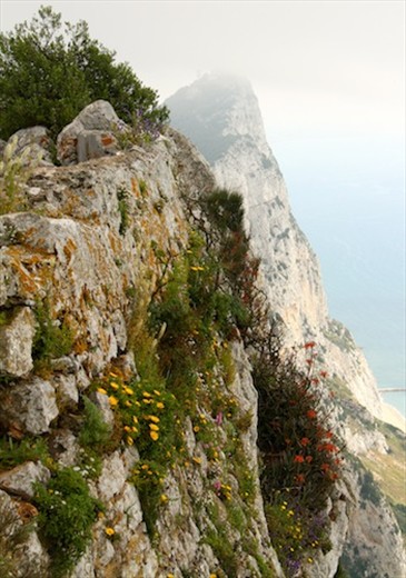 Rock of Gibraltar
