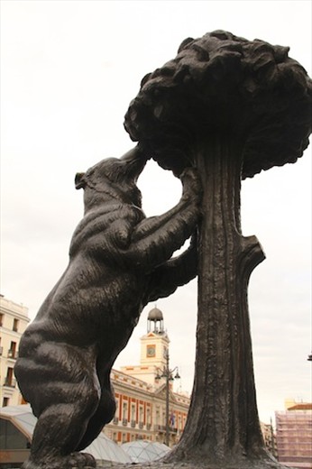 The berry eating bear, symbol of Madrid