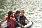 Rowing on Retiro Park, Madrid: by vagabondstoo, Views[537]