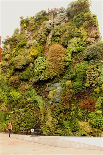 Vertical garden near our hotel, an up-and-coming thing in Europe, Madrid
