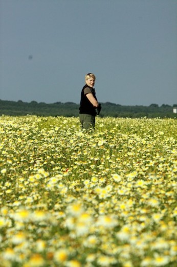 One flower among many