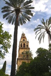 Clock tower, Mezquita, Cordoba: by vagabondstoo, Views[2498]