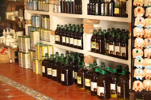 Andalusia olive oil, Ubeda