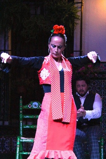 A stern face and attitude, flamenco in Sevilla