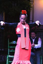 A stern face and attitude, flamenco in Sevilla: by vagabondstoo, Views[779]