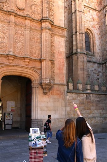 There's the frog! Salamanca