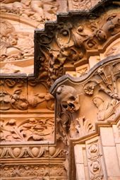 Frog on the Skull, Salamanca: by vagabondstoo, Views[724]
