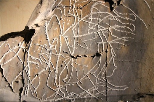 Replica of rock art, oa Valley Rock Art Museum