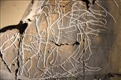 Replica of rock art, oa Valley Rock Art Museum: by vagabondstoo, Views[536]