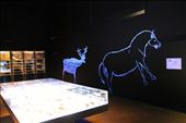 Coa Valley Rock Art Museum: by vagabondstoo, Views[955]