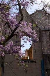 Convento Carmo: by vagabondstoo, Views[236]