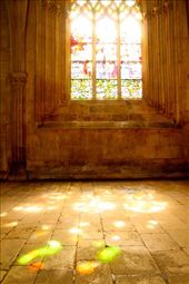 Stained glass, Batalha Monastery WHS: by vagabondstoo, Views[455]