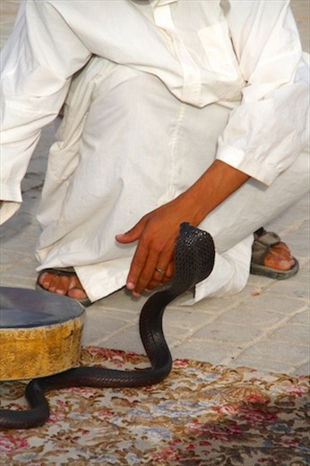 Snake charmer, Meknes