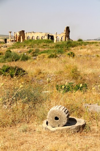 Roman ruins of Volubilis