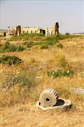Roman ruins of Volubilis: by vagabondstoo, Views[491]