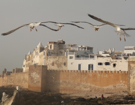 Medina walls, Essaouira