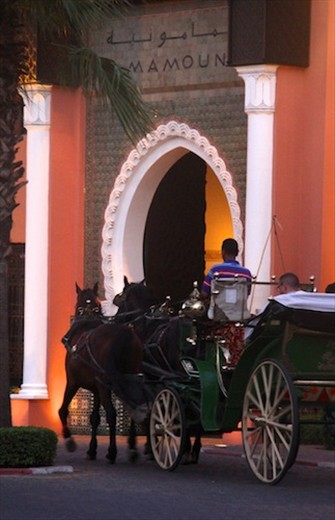 Luxury hotel, Marrakech