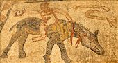 Mosaics, Roman ruins of Volubilis: by vagabondstoo, Views[410]