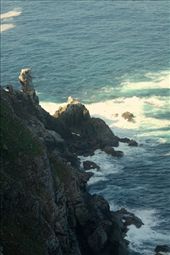 Cape Point, where the Atlantic meets the Indian Ocean: by vagabondstoo, Views[516]