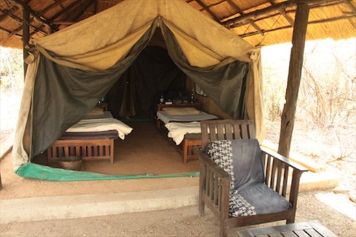 Our safari tent, Bushman's Baobab Camp, Liwonde NP