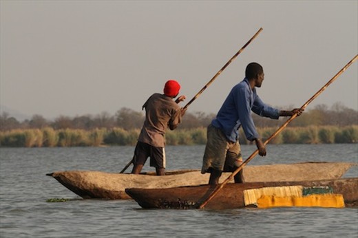 Going fishing - illegally, Liwonde NP