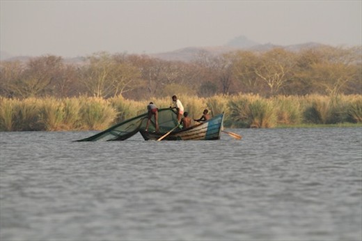Wholesale fish poaching, Liwonde NP