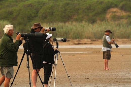 We're not the only birders, iSimangaliso National Wetlands 