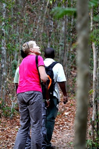 Connie and Eddie on patrol, Ankarafantsika National Park