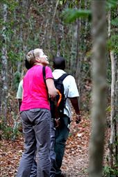 Connie and Eddie on patrol, Ankarafantsika National Park: by vagabondstoo, Views[467]